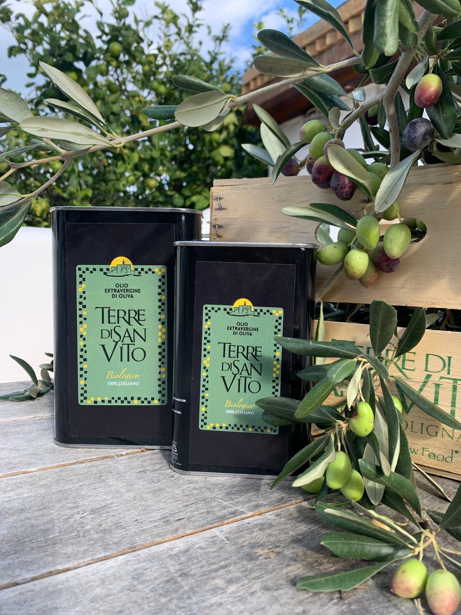 5oo ml Tin Extra virgin olive oil LIMITED EDITION