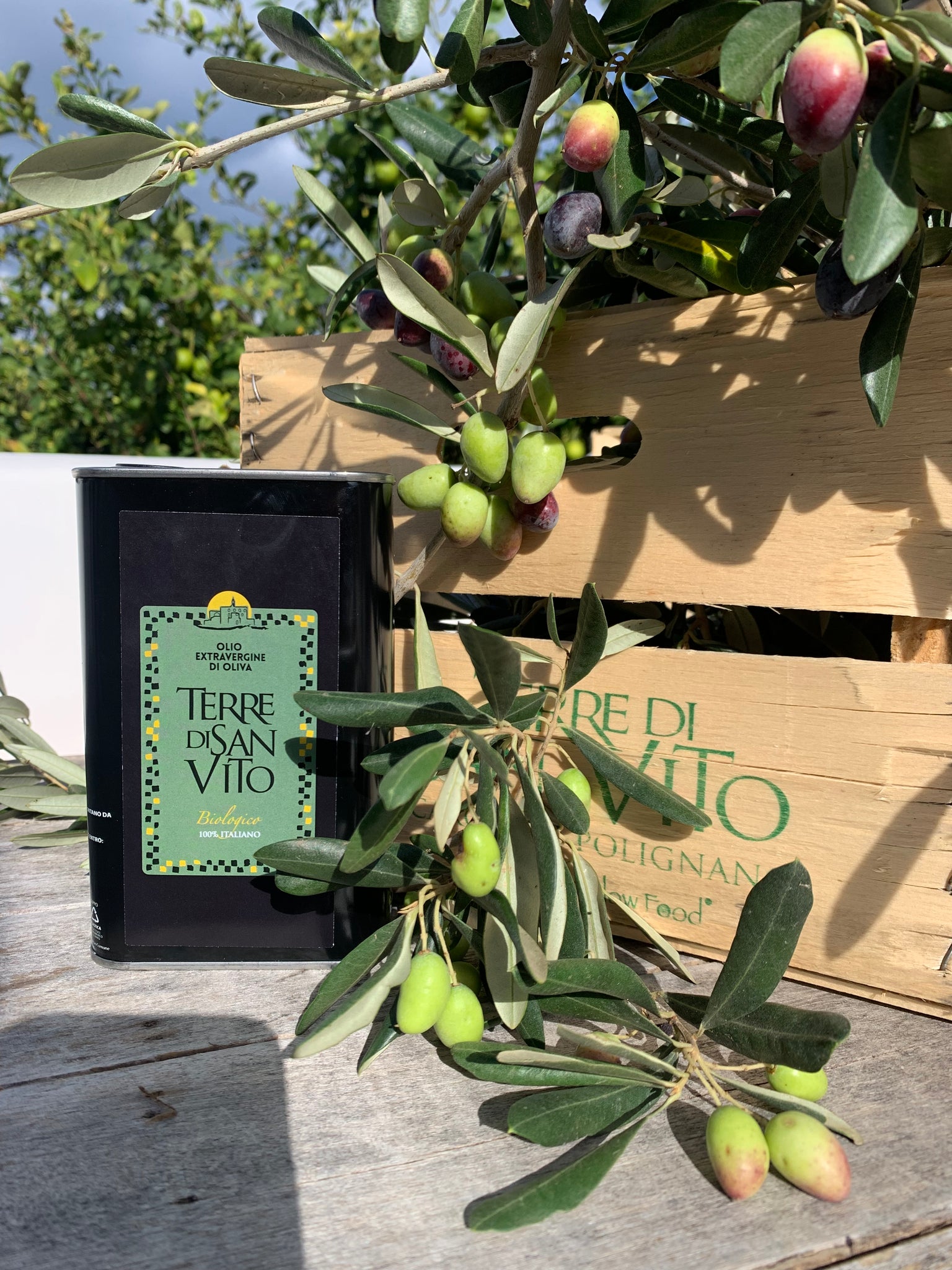5oo ml Tin Extra virgin olive oil LIMITED EDITION